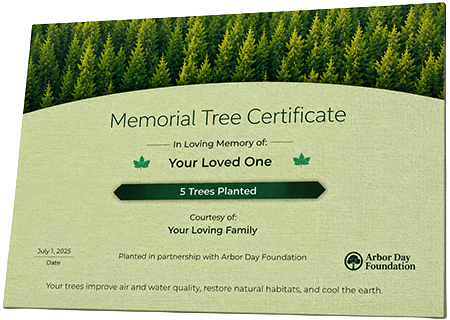 Plant Trees in Memory of Mr. John Moore